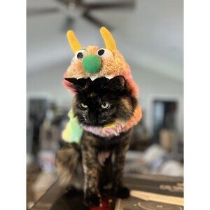 Skull & Bones Rainbow Muppet Monster Pet Costume Small Dog or Cat